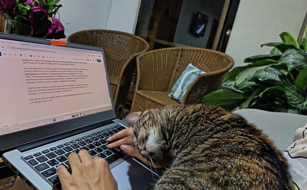 Los domingos